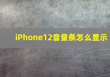 iPhone12音量条怎么显示