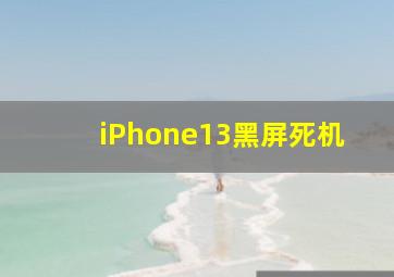 iPhone13黑屏死机