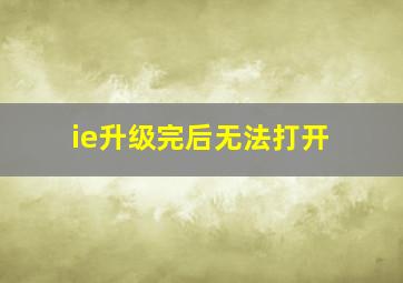 ie升级完后无法打开