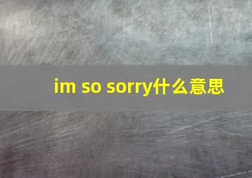 im so sorry什么意思