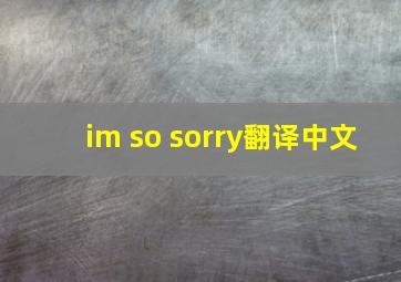 im so sorry翻译中文