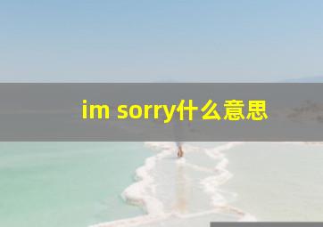 im sorry什么意思