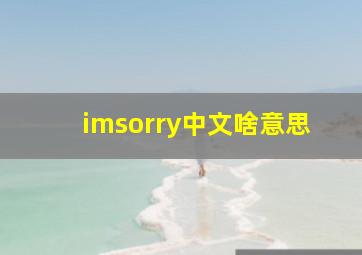 imsorry中文啥意思