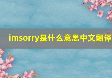 imsorry是什么意思中文翻译