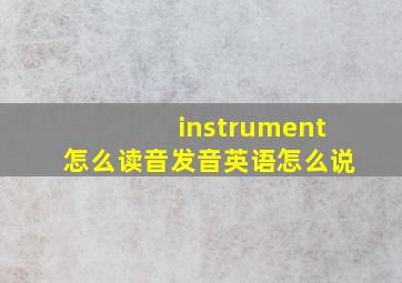 instrument怎么读音发音英语怎么说