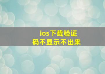 ios下载验证码不显示不出来