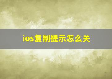 ios复制提示怎么关