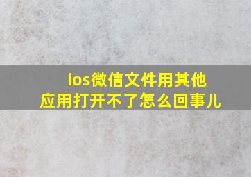 ios微信文件用其他应用打开不了怎么回事儿