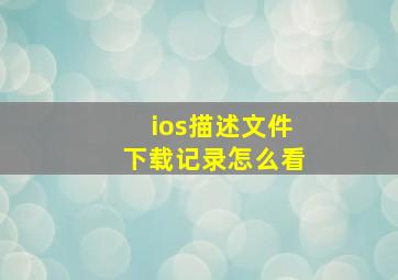 ios描述文件下载记录怎么看