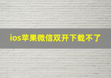 ios苹果微信双开下载不了