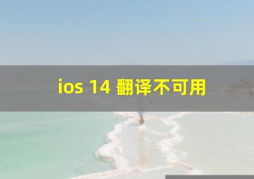 ios 14 翻译不可用