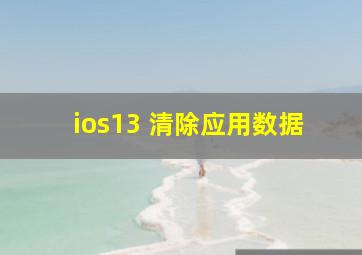 ios13 清除应用数据