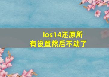 ios14还原所有设置然后不动了