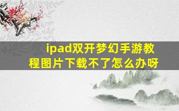 ipad双开梦幻手游教程图片下载不了怎么办呀