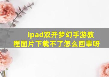 ipad双开梦幻手游教程图片下载不了怎么回事呀