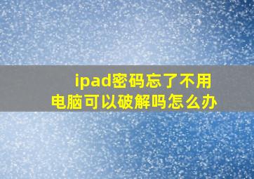 ipad密码忘了不用电脑可以破解吗怎么办