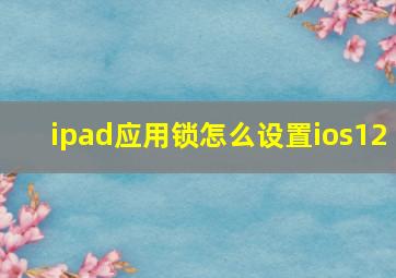 ipad应用锁怎么设置ios12