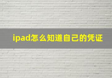 ipad怎么知道自己的凭证