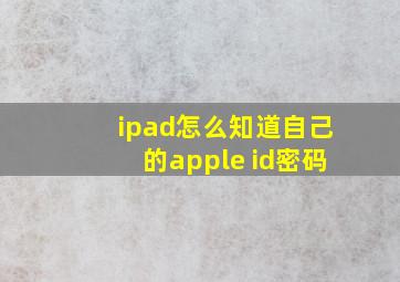 ipad怎么知道自己的apple id密码