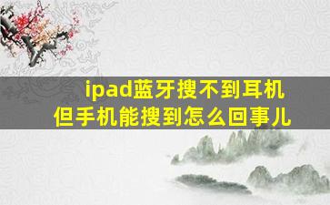 ipad蓝牙搜不到耳机但手机能搜到怎么回事儿