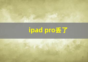 ipad pro丢了