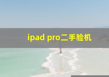 ipad pro二手验机