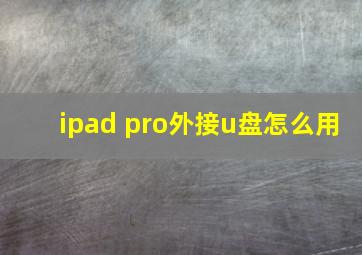 ipad pro外接u盘怎么用