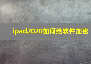 ipad2020如何给软件加密