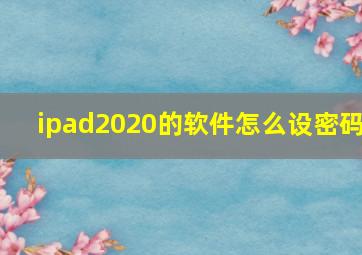 ipad2020的软件怎么设密码