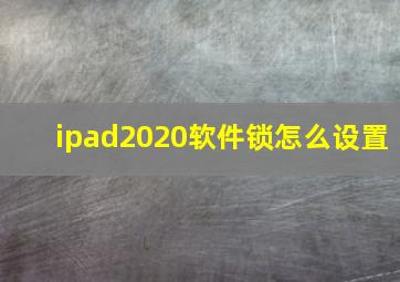 ipad2020软件锁怎么设置