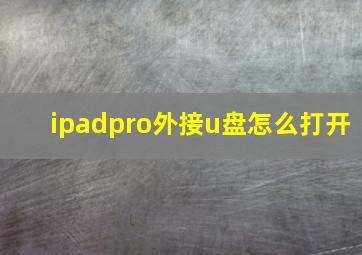 ipadpro外接u盘怎么打开