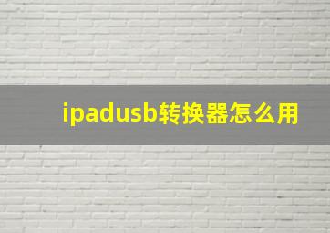 ipadusb转换器怎么用