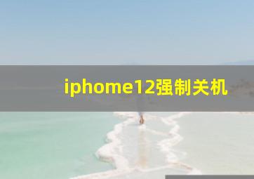 iphome12强制关机