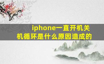 iphone一直开机关机循环是什么原因造成的