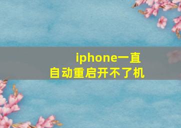 iphone一直自动重启开不了机