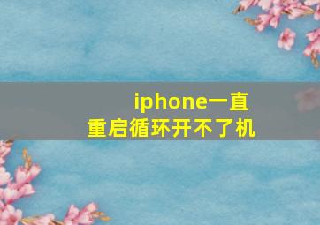 iphone一直重启循环开不了机