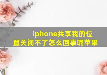 iphone共享我的位置关闭不了怎么回事呢苹果