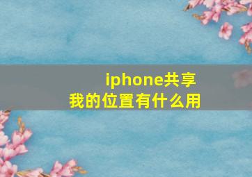 iphone共享我的位置有什么用