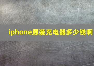 iphone原装充电器多少钱啊