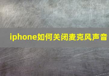 iphone如何关闭麦克风声音