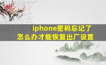 iphone密码忘记了怎么办才能恢复出厂设置