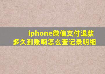 iphone微信支付退款多久到账啊怎么查记录明细