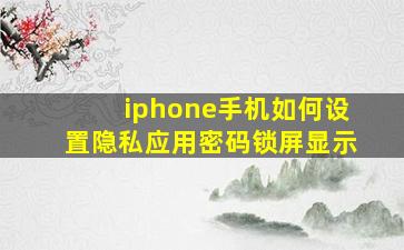 iphone手机如何设置隐私应用密码锁屏显示