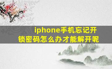 iphone手机忘记开锁密码怎么办才能解开呢