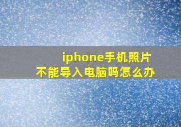 iphone手机照片不能导入电脑吗怎么办