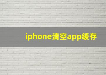 iphone清空app缓存