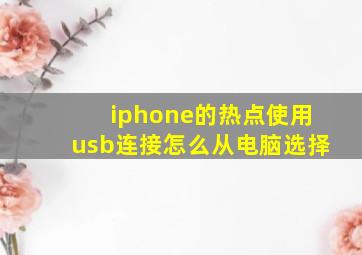 iphone的热点使用usb连接怎么从电脑选择