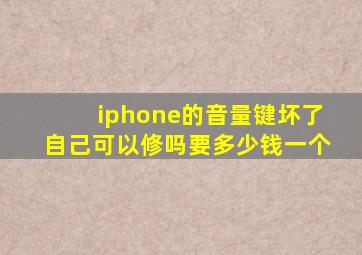 iphone的音量键坏了自己可以修吗要多少钱一个