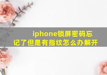 iphone锁屏密码忘记了但是有指纹怎么办解开