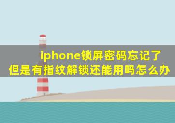 iphone锁屏密码忘记了但是有指纹解锁还能用吗怎么办